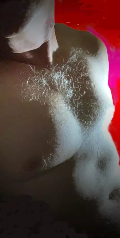 [45]hi daddy bears grrrrrr