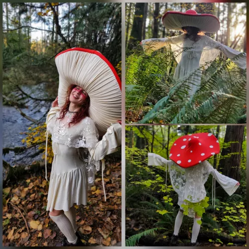 A real life Amanita Muscaria mushroom frolicking in the forest🍄