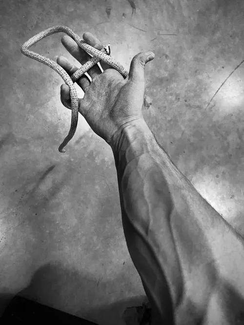 any ideas on what we can do with this rope?