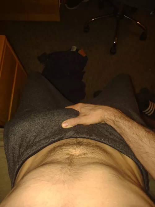 Anyone ever compare their bulges to a horse dick?