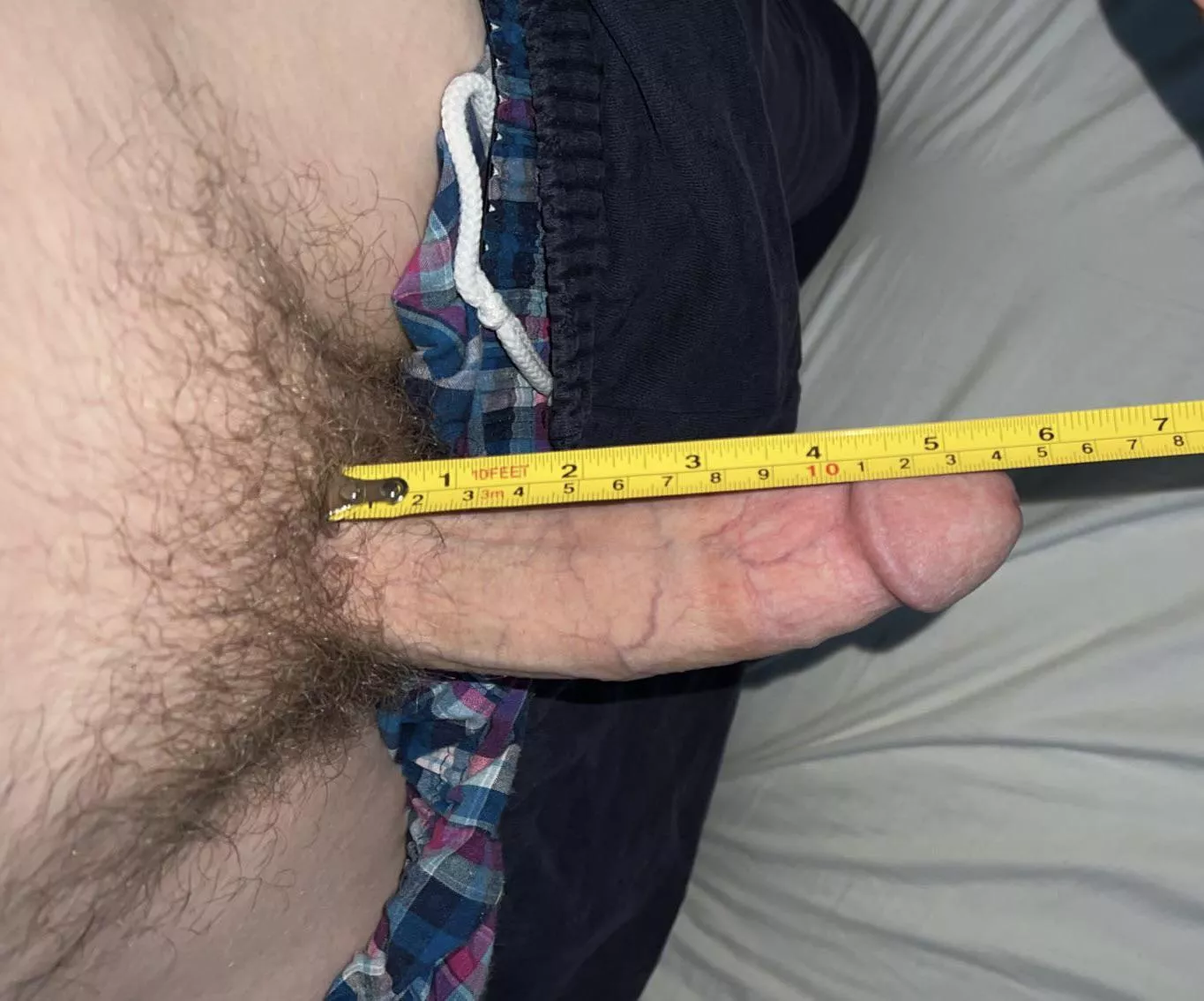 Anyone think they can beat my painfully average penis?