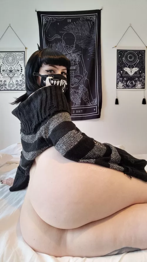 application to be your big booty goth gf ♡