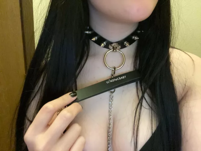 Do you want to hold on to my leash?