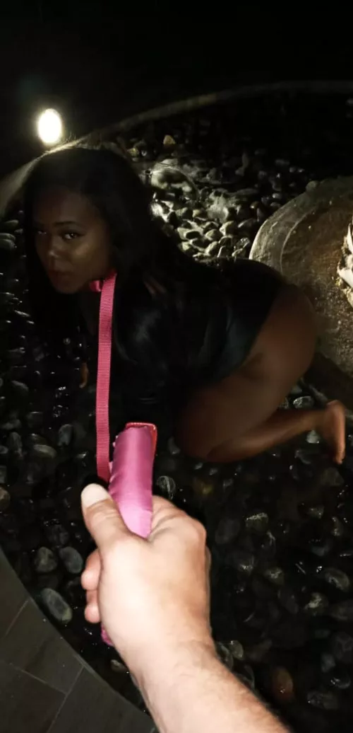 Don't you hate when you have to take your black bitch out to piss at night?