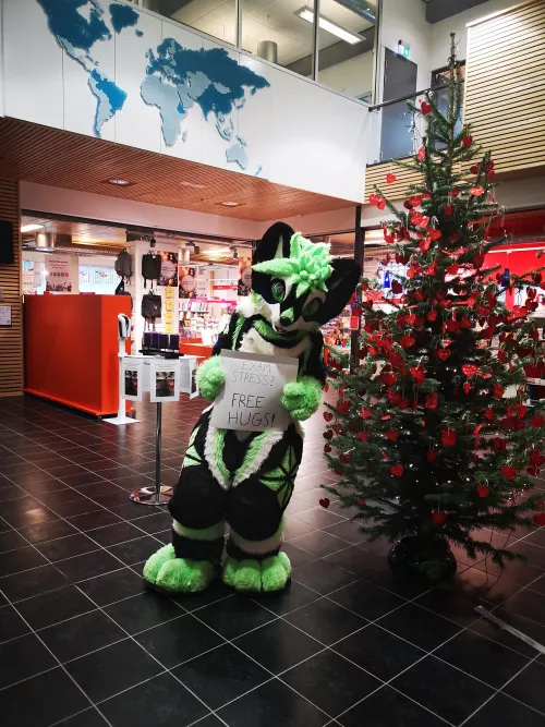 Exam stress? Free hugs!