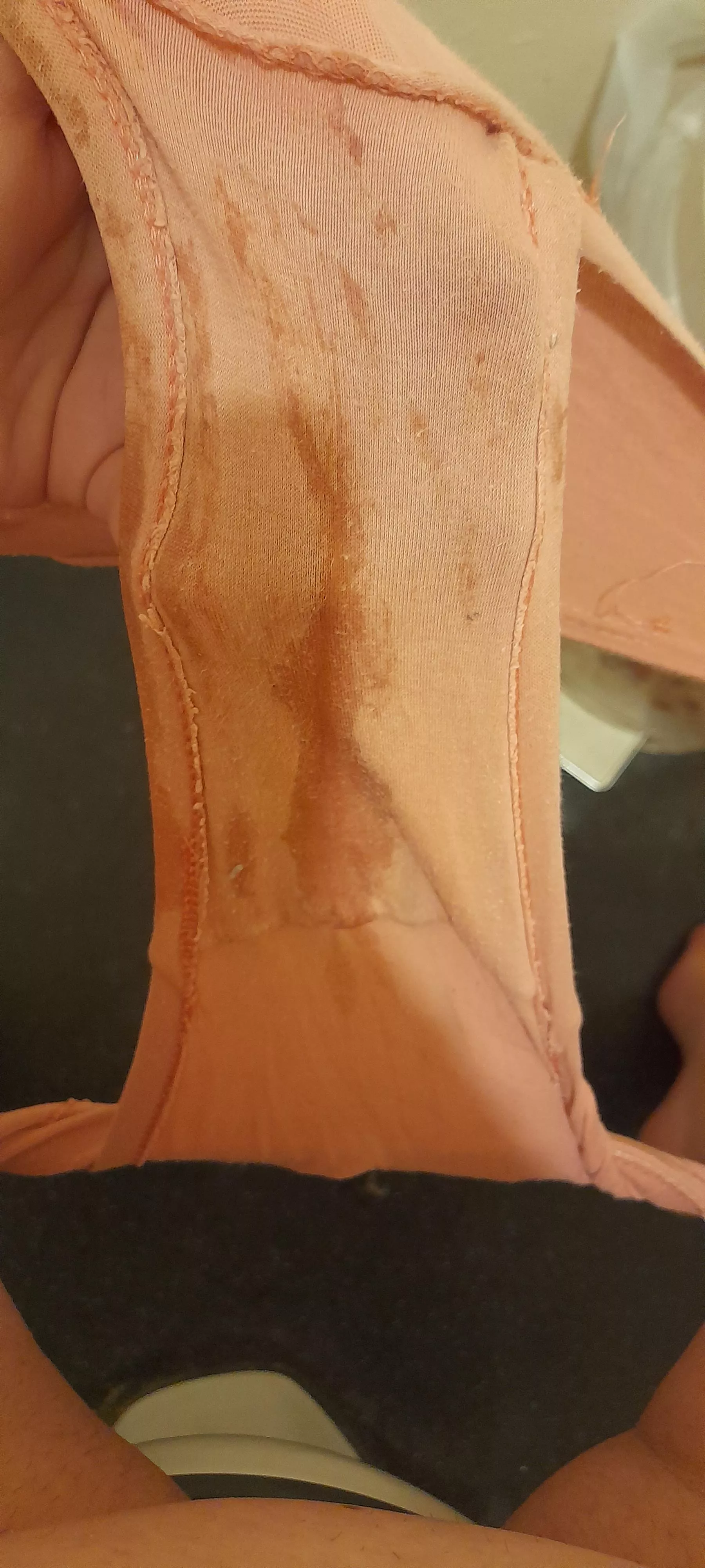 Got all wet yesterday 🤭