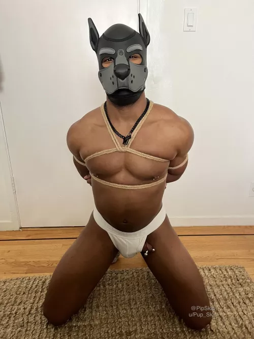 Got into some trouble today