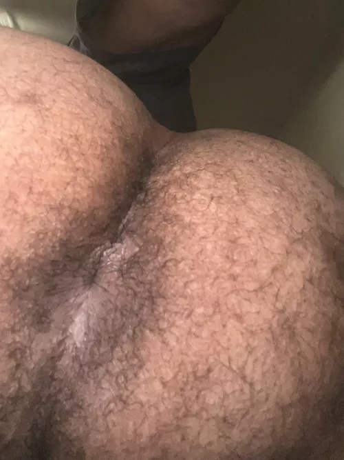 HAIRY MAN ASS. Here’s a hole pic. 👃🏾👅🍆
