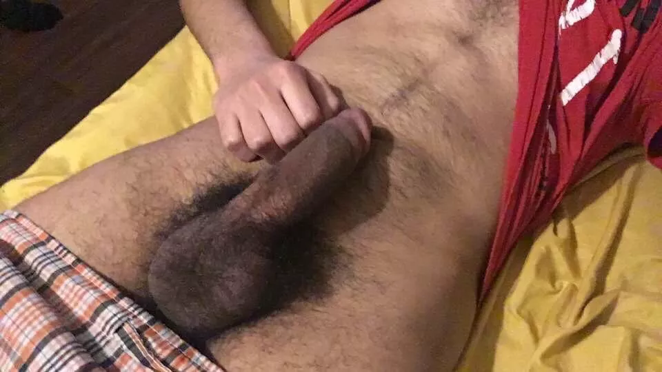 Hairy teen dick (18)
