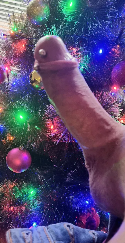 Hope you like my tree (55)