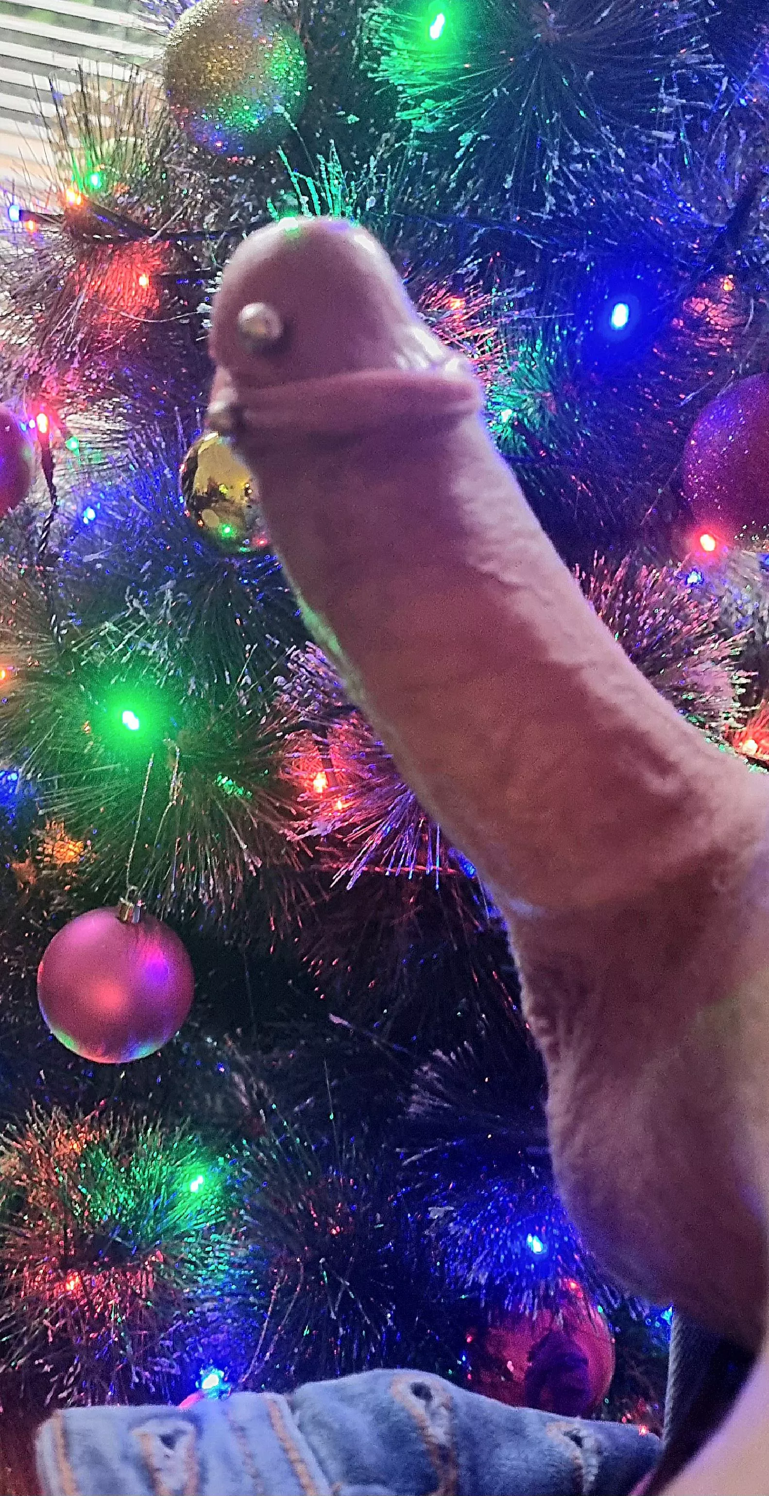 Hope you like my tree (55)