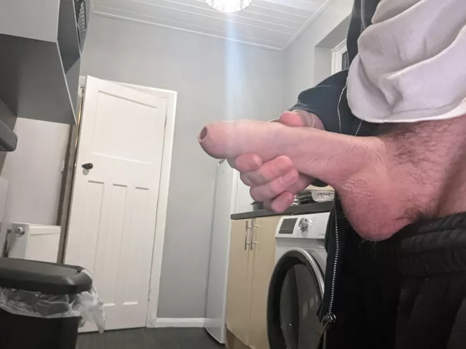 Horny in the kitchen