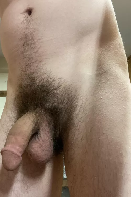 How’s my bush coming along?