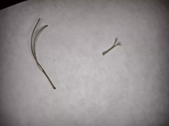 I hate this things they hurt sometimes.