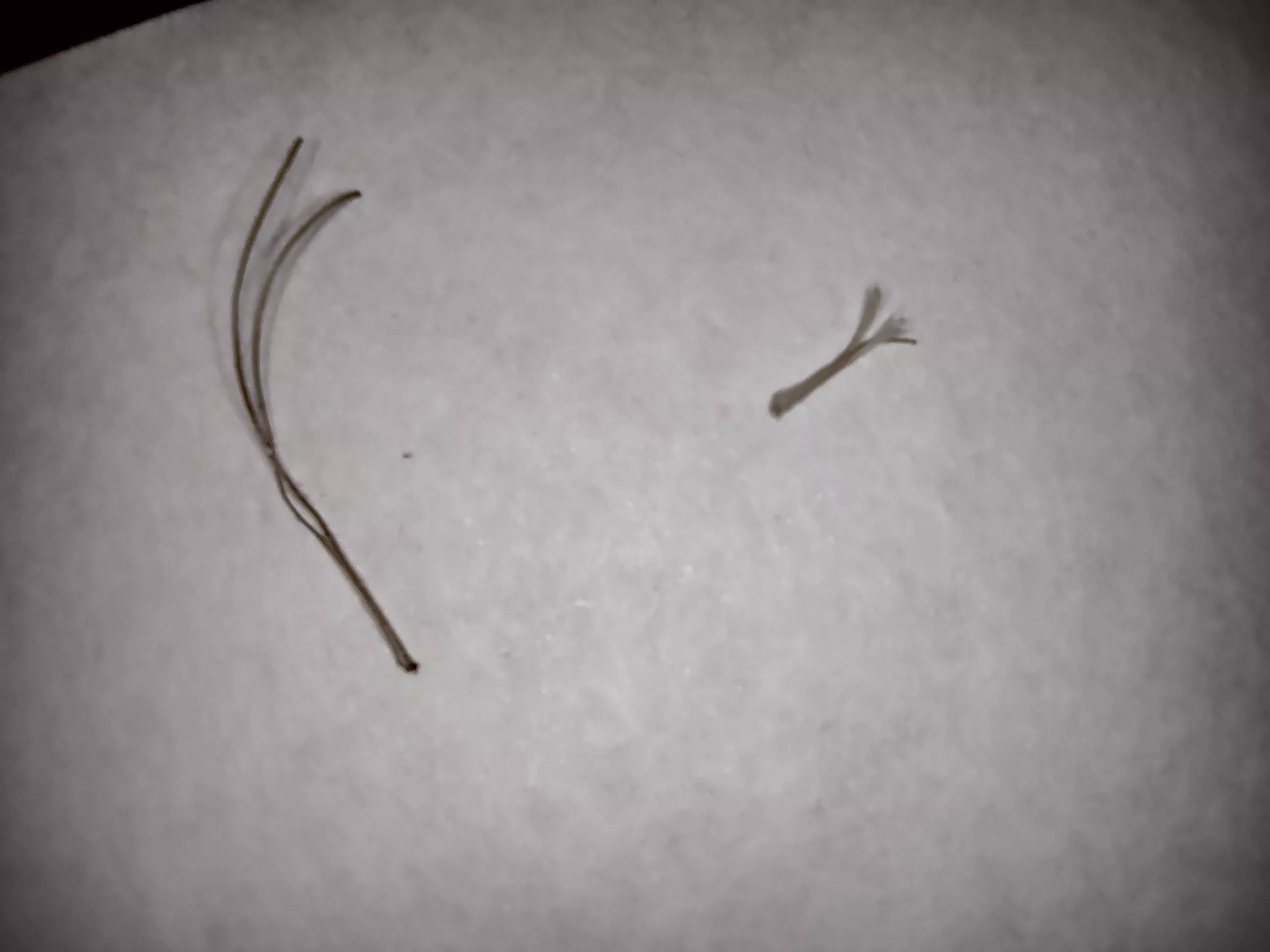 I hate this things they hurt sometimes.