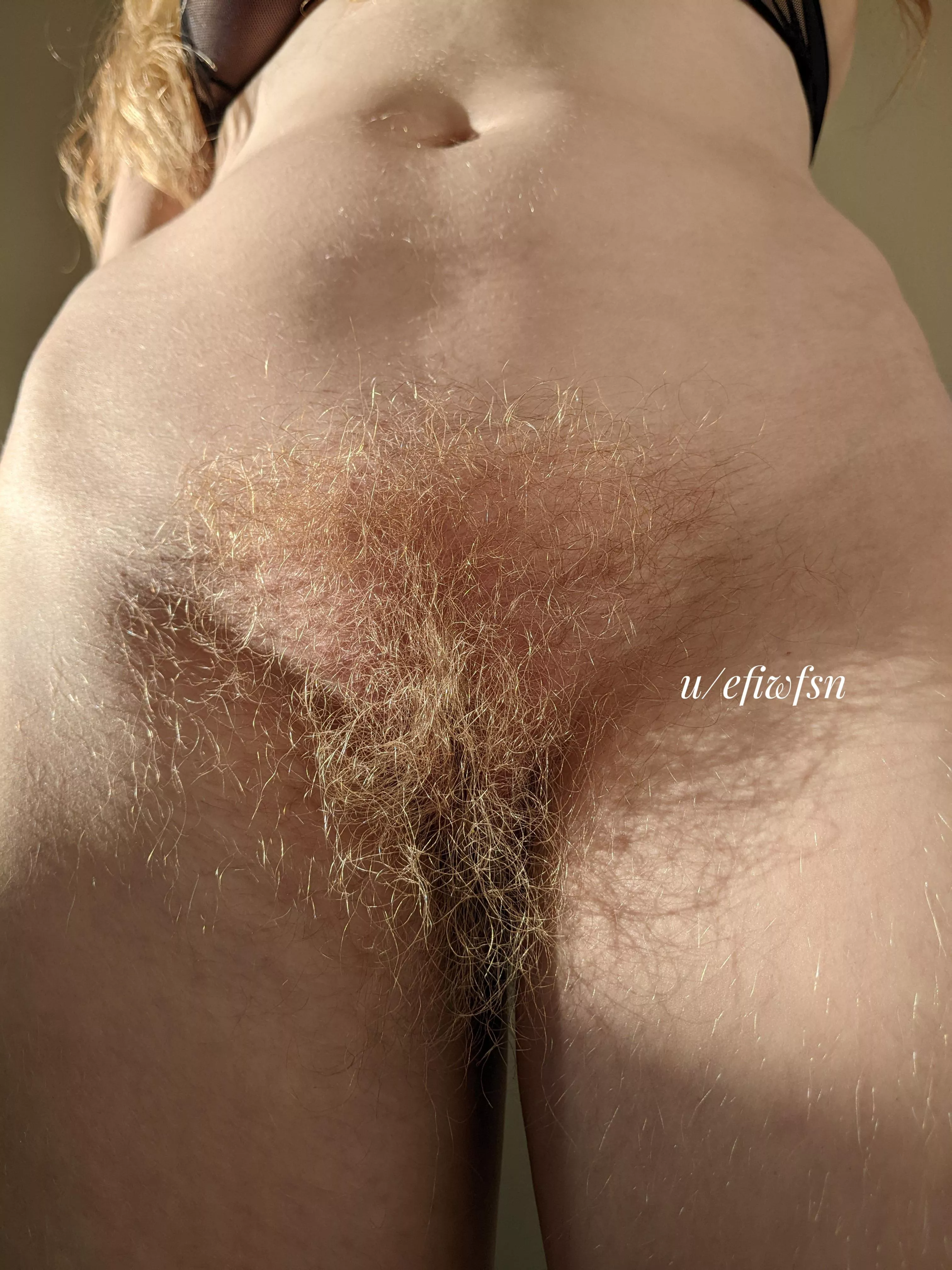 I need a professional rug muncher for this one