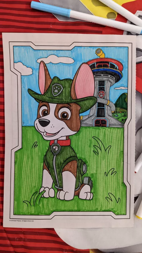 Look :) like the picture I colored??