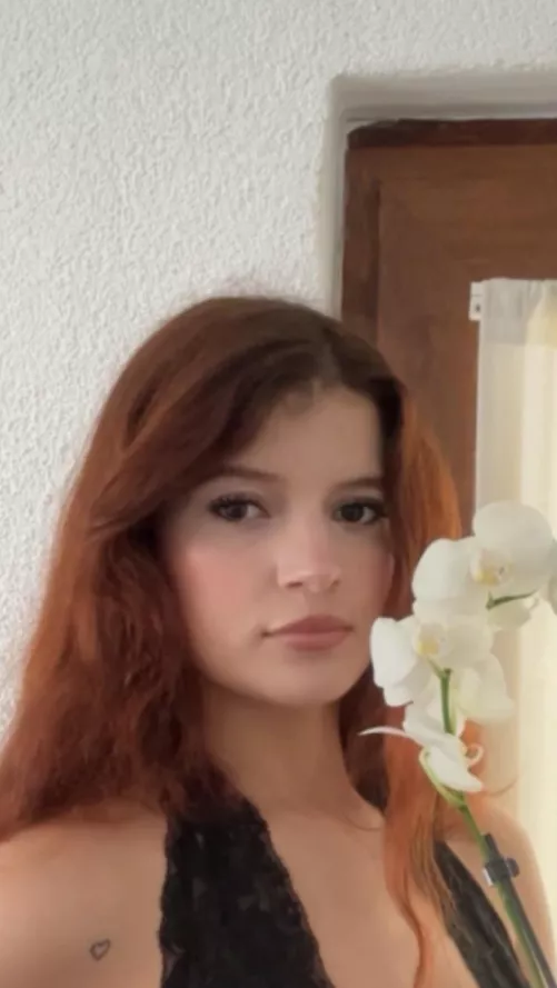 Moroccan x French 🙈