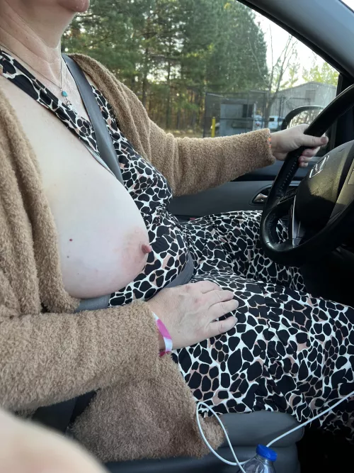 My kitty flashing the red light cameras