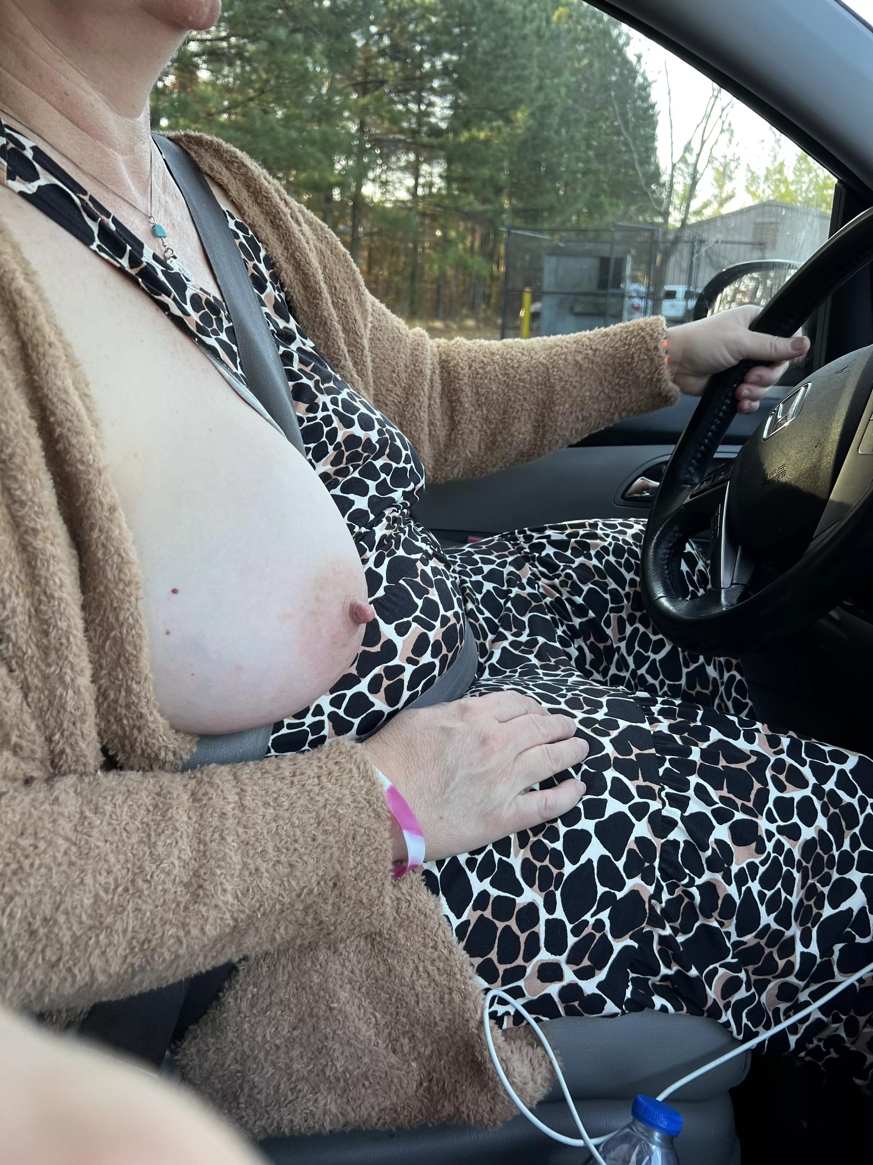 My kitty flashing the red light cameras