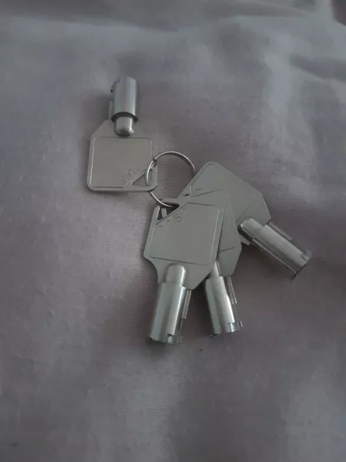 My mistress loves to send me pictures of HER KEYS. I will never hold them in my hands again 🔒