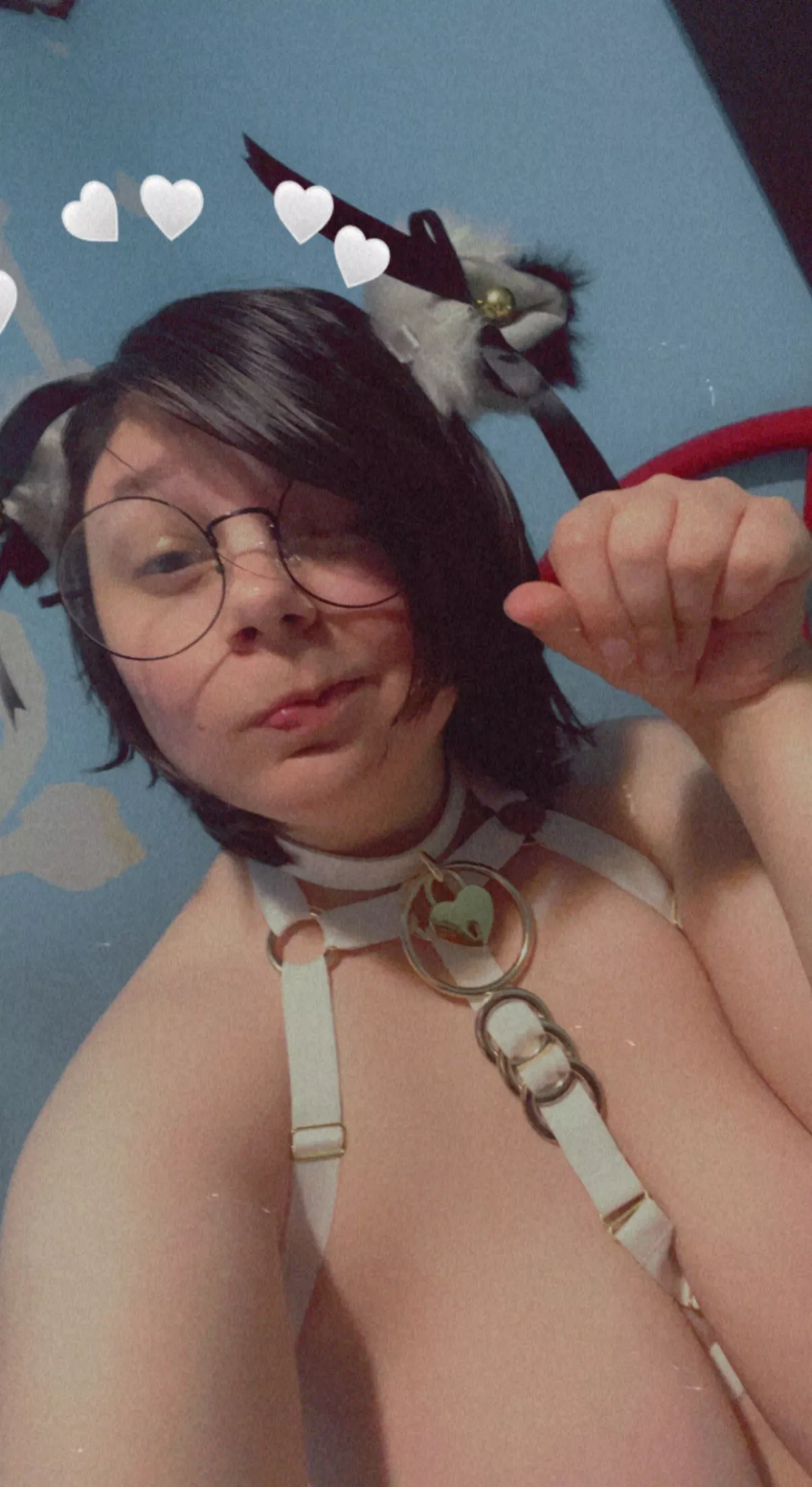 Nerdy catgirl~✨