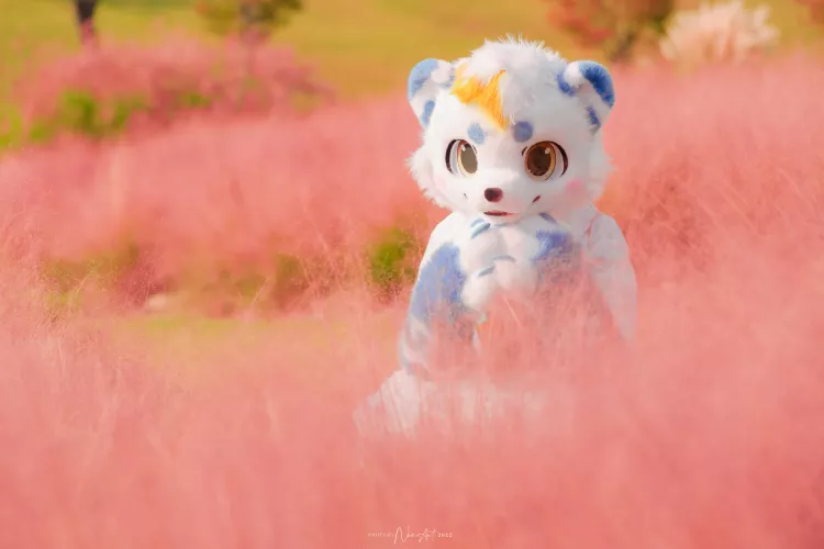 Nice weather nice excursion~~~ by @lope0808 on Twitter