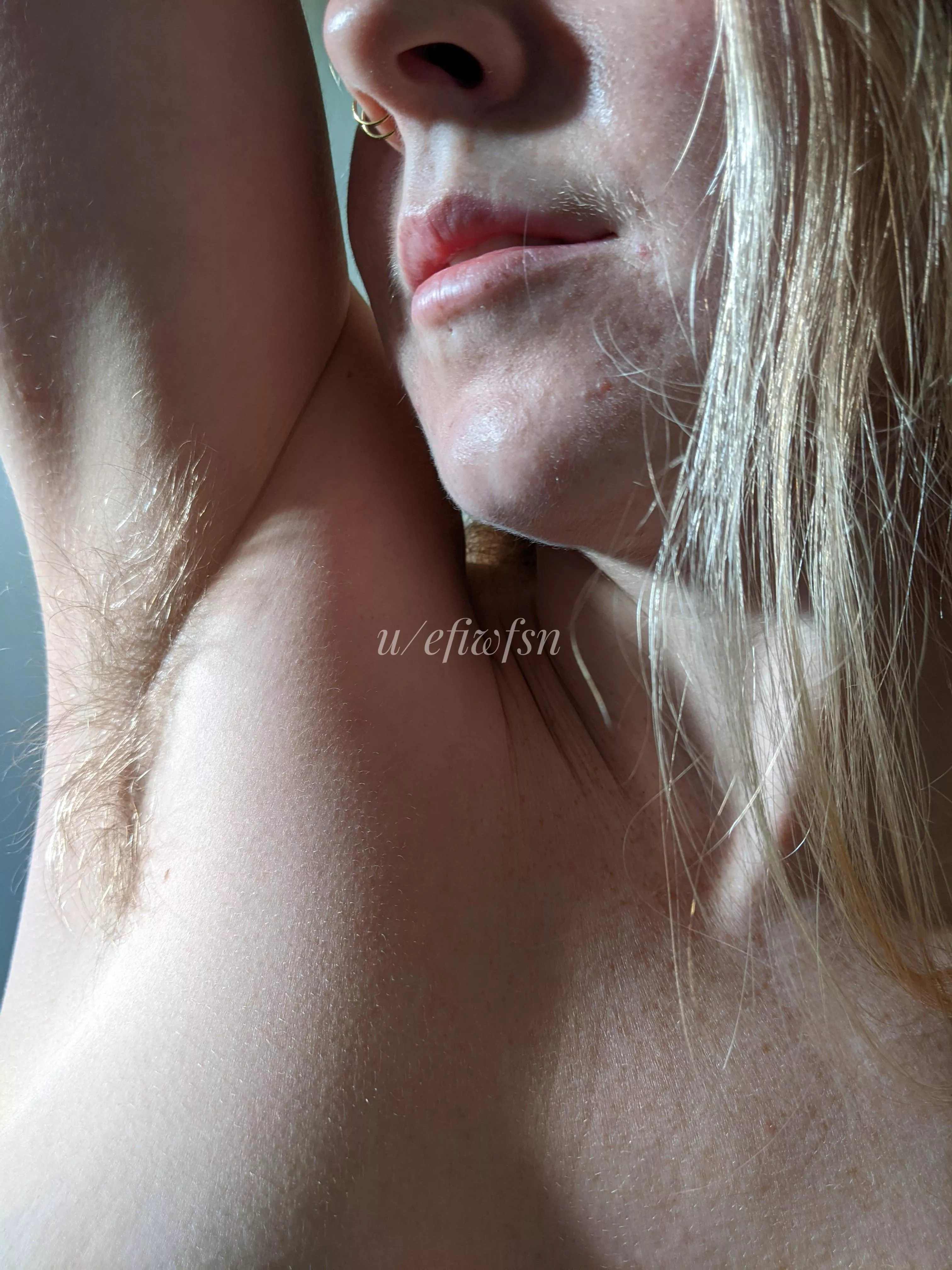 Platinum blonde pitties