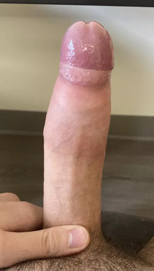 Real bull looking for some holes…