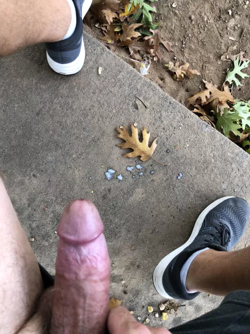 Unloaded at the park