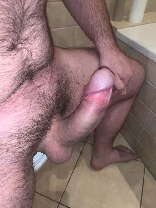 What would you do with me? [35]