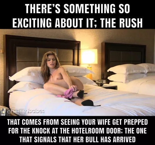 When the bull arrives