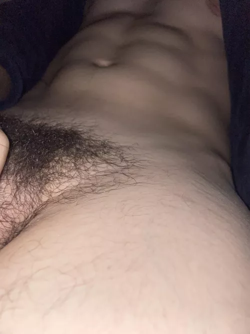 Who wants to compare and discuss with an 18 years old hairy cock ?