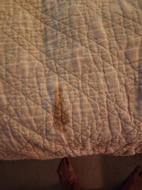 Wifeys wet spot after a incredible Sunday night.