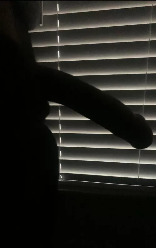 Wonder what it could be?