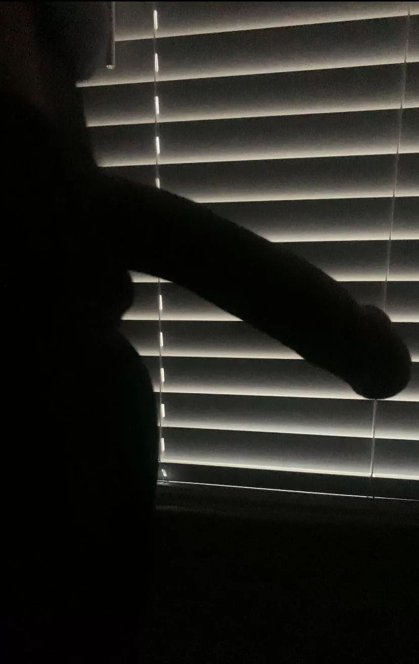 Wonder what it could be?