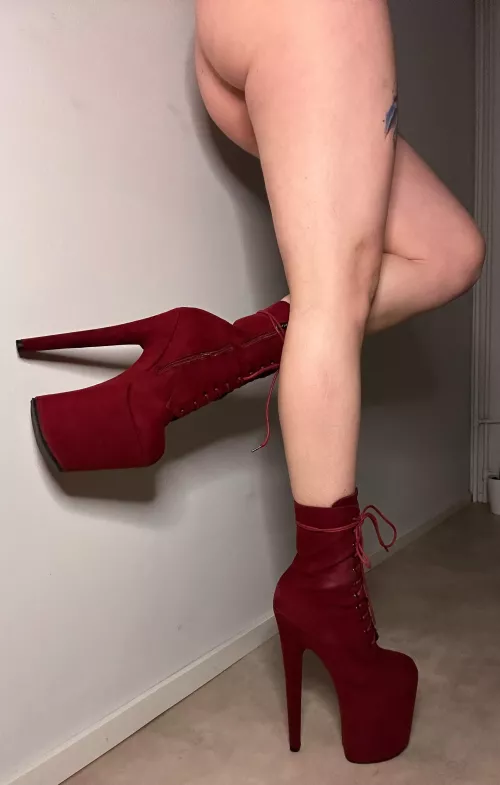 You come home and see this [f]