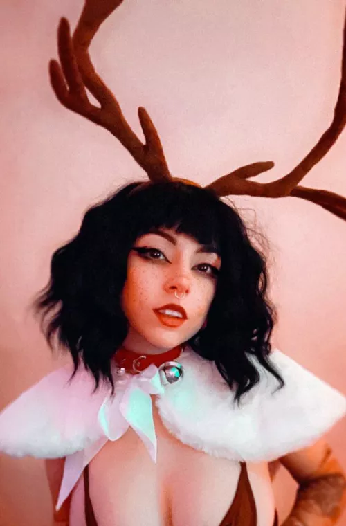 A lil reindeer 🎁