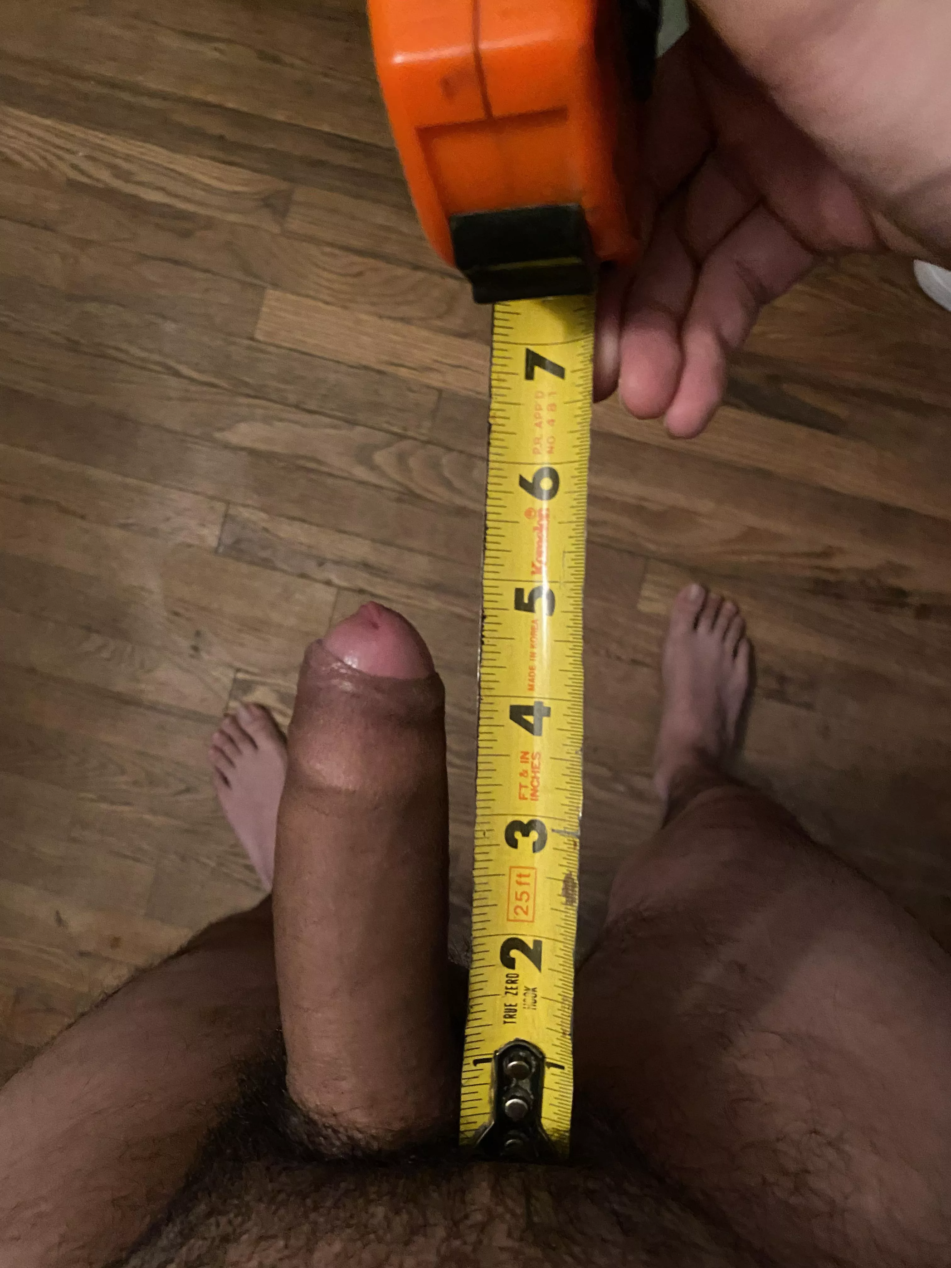 Anybody want to compare with an average cock