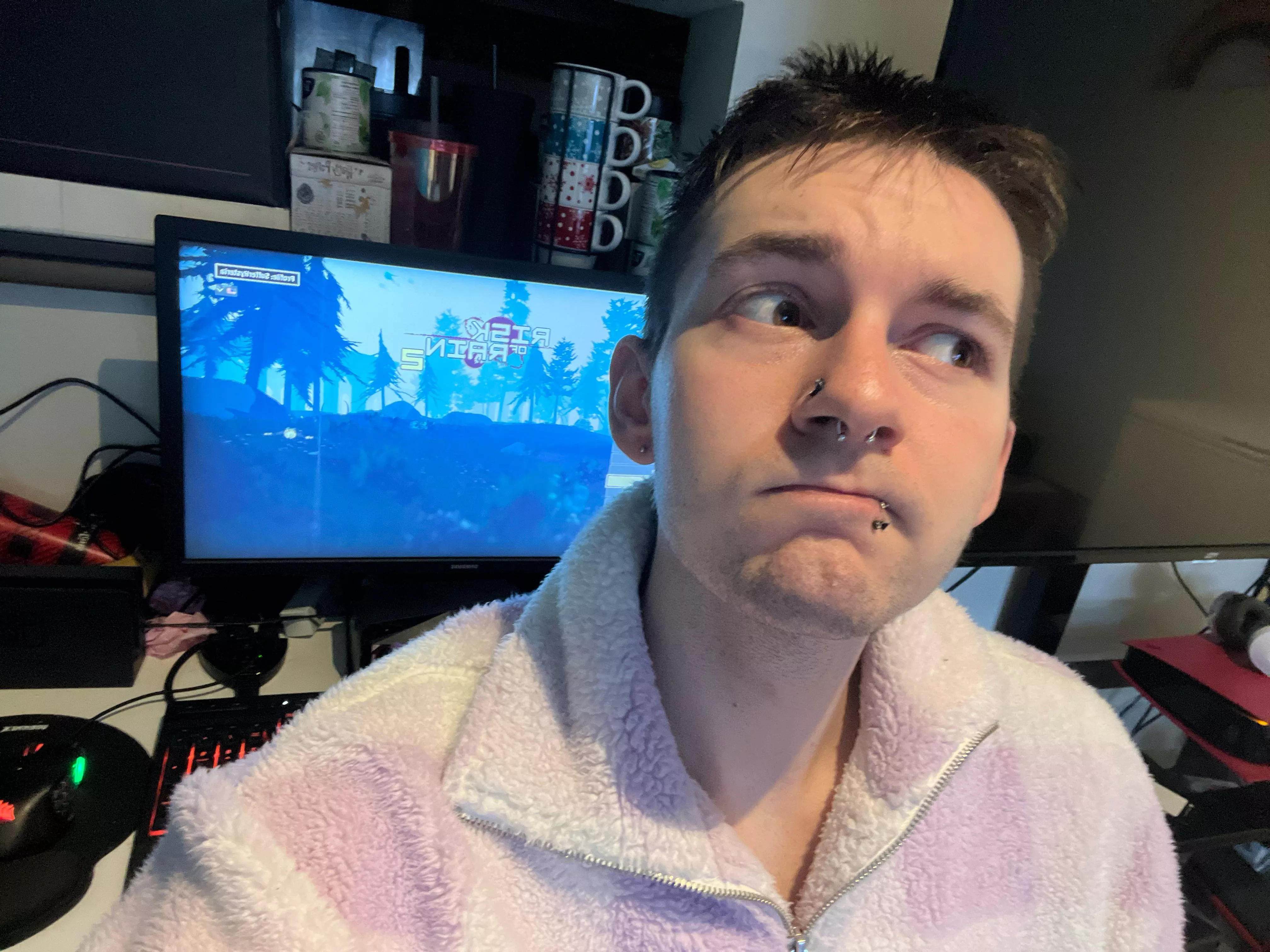 Anyone play Risk Of Rain 2?