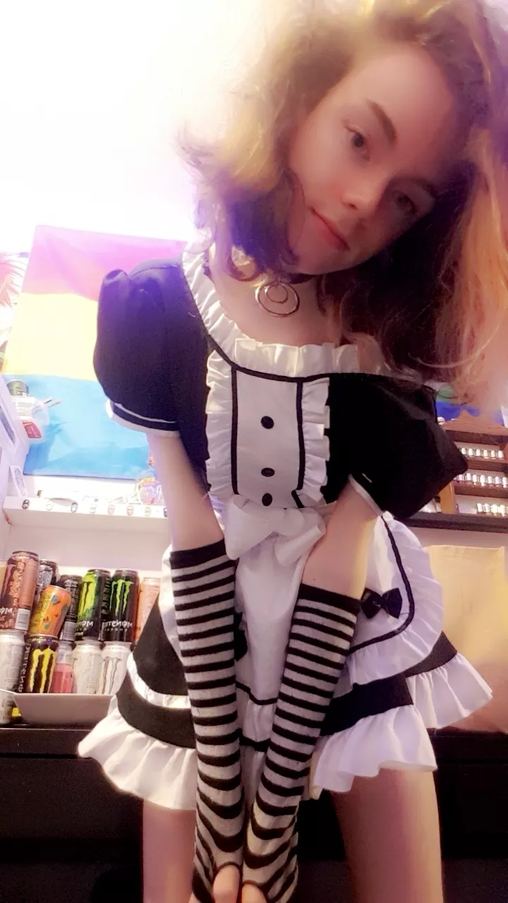 Anyone u need of a maid service