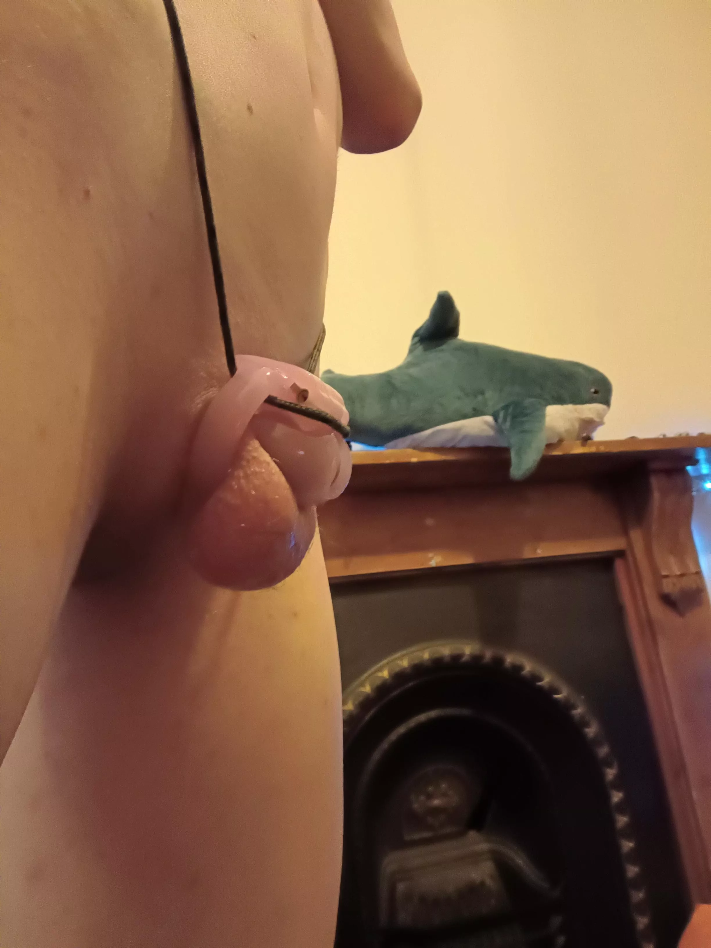 Blahaj 🥺 Gonna try and stay locked for as long as I can this time around hopefully I can break my record of 1 month...