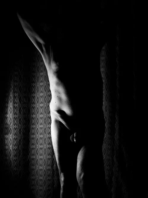 Chiaroscuro Torso [m]