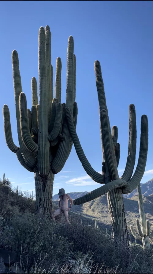 Does this count as a tree 🌲 pose?