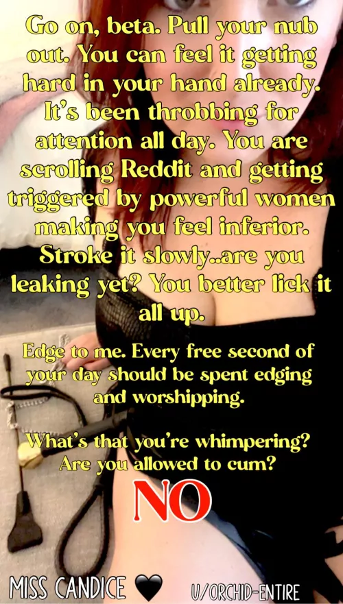 Go ahead…beg me to cum. I love saying no 😈 denial is your new release, now thank me.