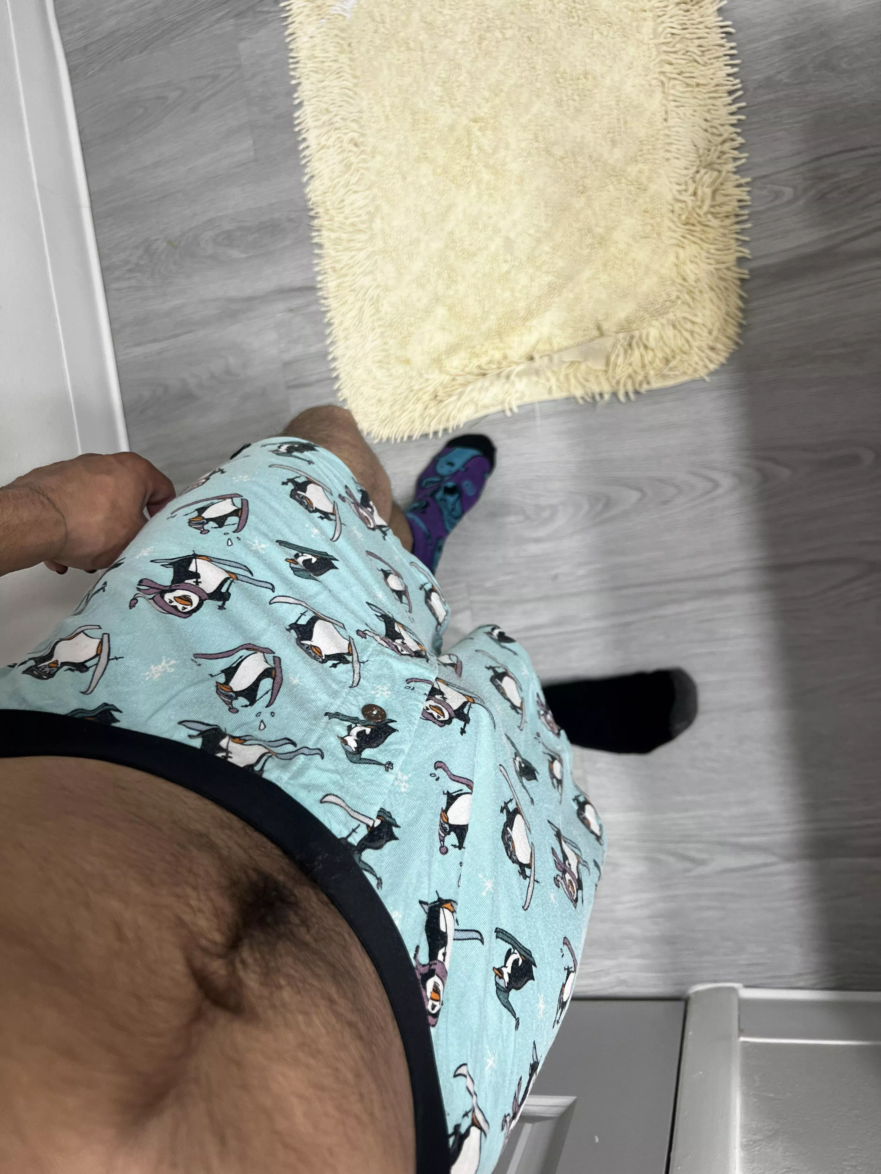 Good evening fellow boxer lovers