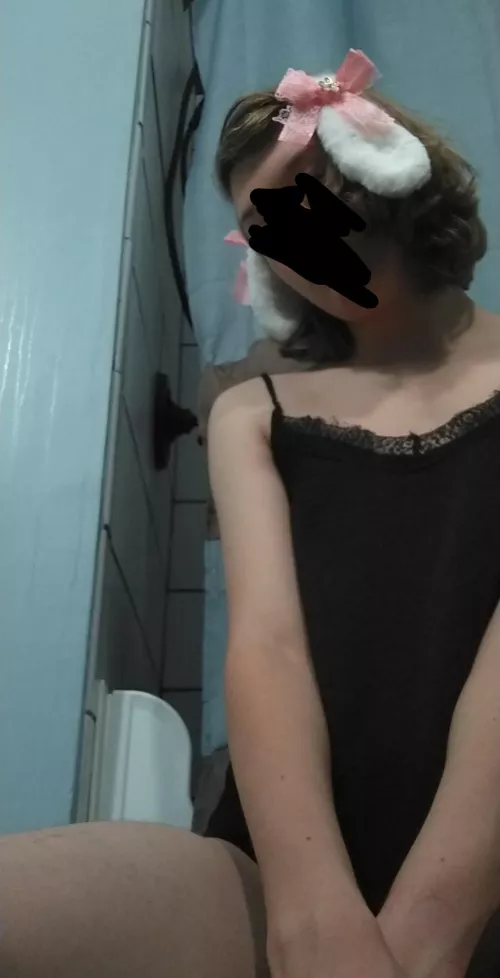 Hope y'all like trans bunnies here