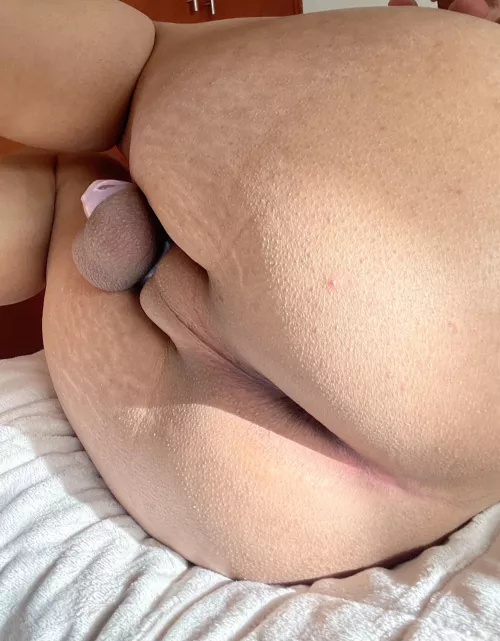 I love the way the sunshine reflects on my asshole