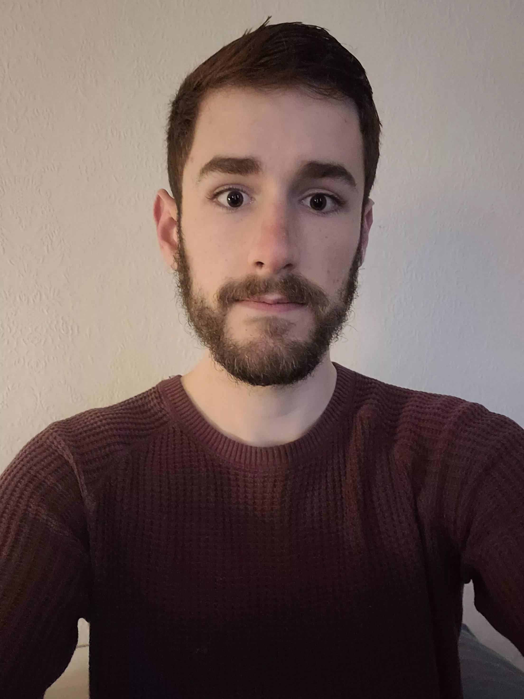 I need an emotional support gay dude rn🥺