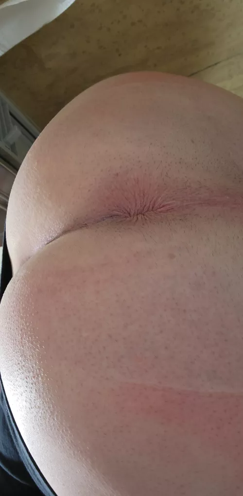 I'm gonna sit on your face; deal with it